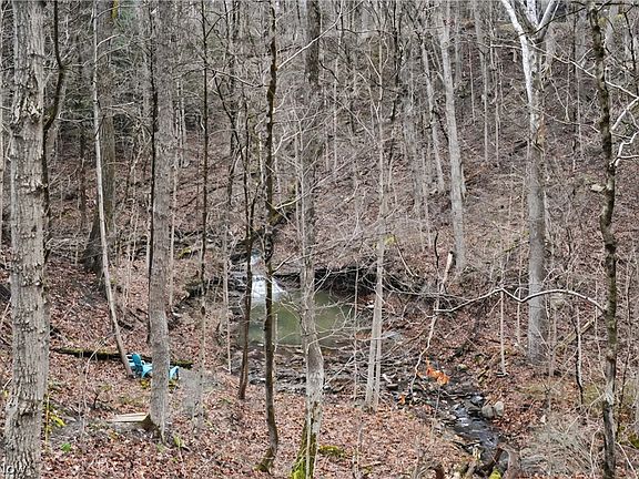 2nd image of 6196 Riverview Rd