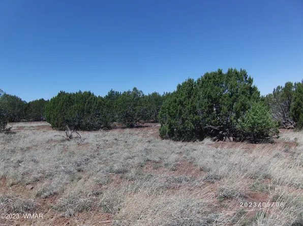 Powell Ln Parcel 304-14-010E, Show Low, AZ 85901