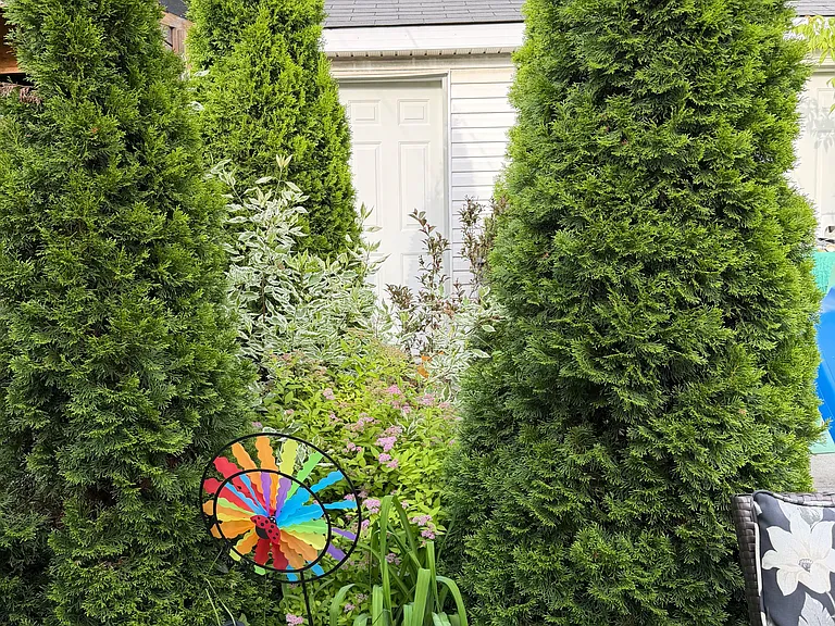 659 Old Weston Rd — Photo 10