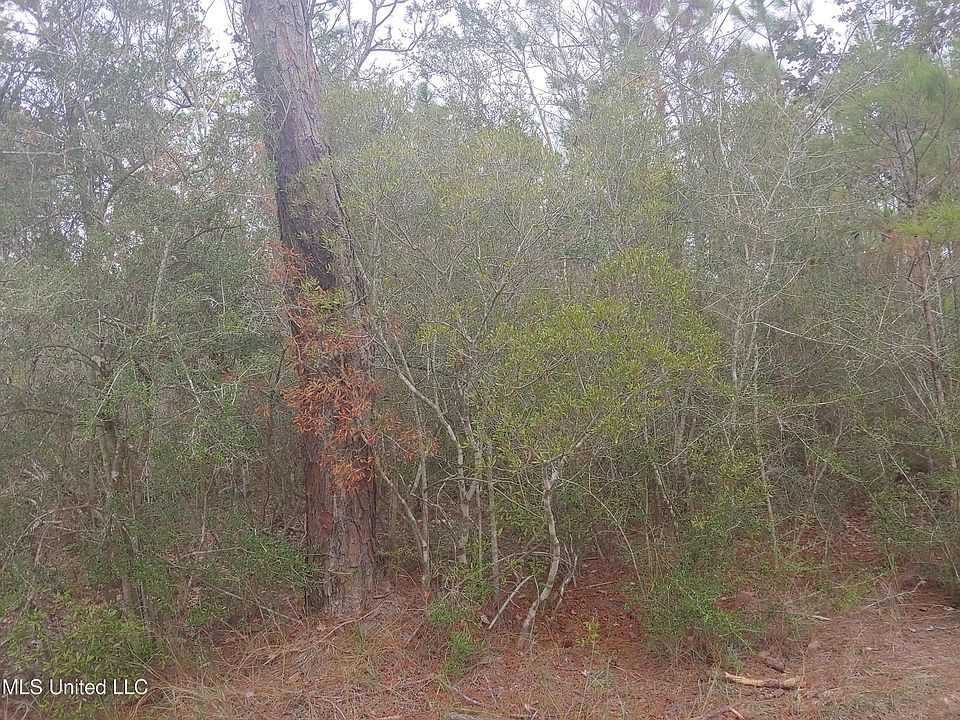 2nd image of LOT 4 Sage St Lot 4