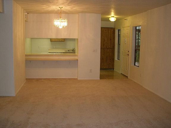 New Porcelain tile and carpet