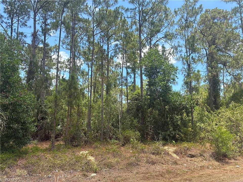1st image of 5043 Palmetto Woods DR