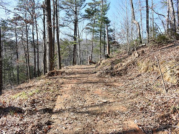 4th image of 0 Mountain Top Rd