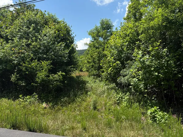 0 Craig Creek Rd, Eagle Rock, VA 24085