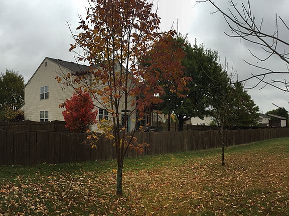 Fenced in back yard 