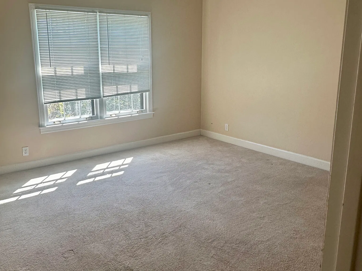 3 bed, 2.5 bath, 1600 sqft, $3,000 — Photo 4