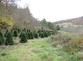 411 Higdon Rd, Franklin, NC 28734