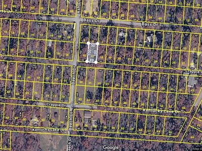 0 Crappie Dr Lot 17, Buchanan, TN, 38222