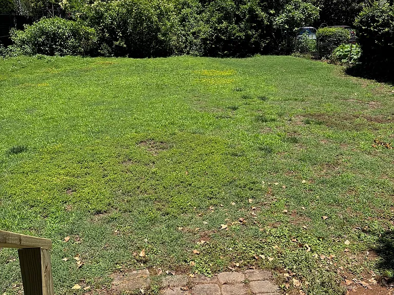 645 Dorothy Dr — Photo 14