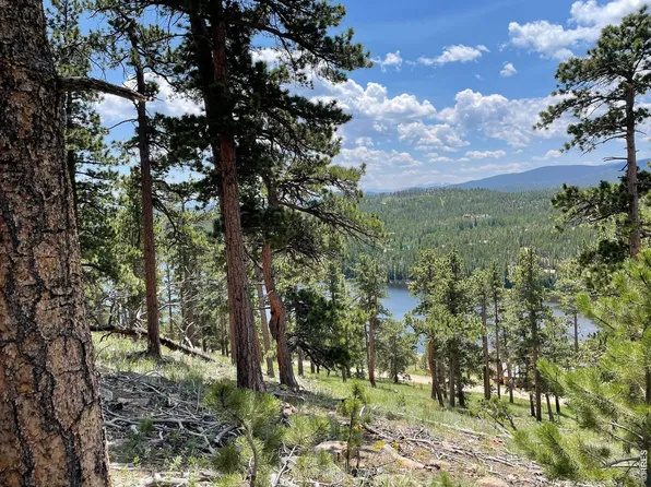 1091 Osage Trl, Red Feather Lakes, CO 80545