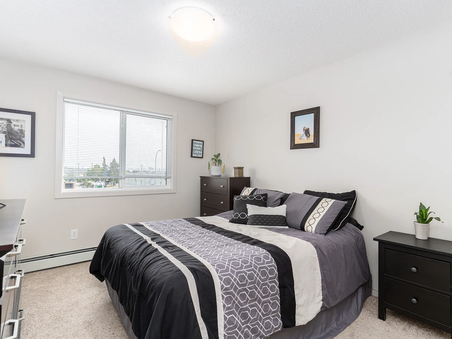 2 bed, 711 sqft, $1,800 — Photo 4
