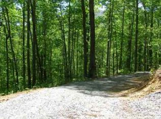 LOT 110, Clyde, NC 28721