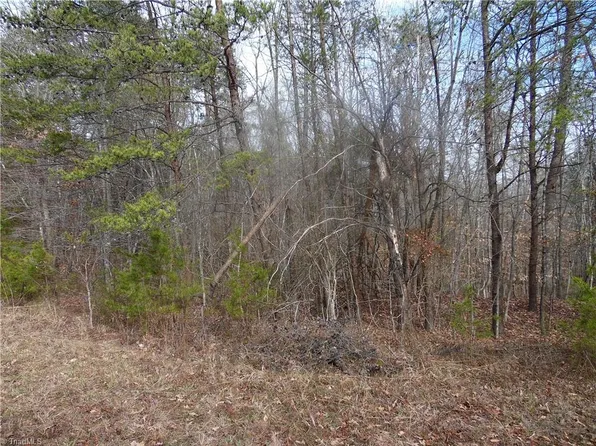 0 Mill Ridge Rd #19, Providence, NC 27315