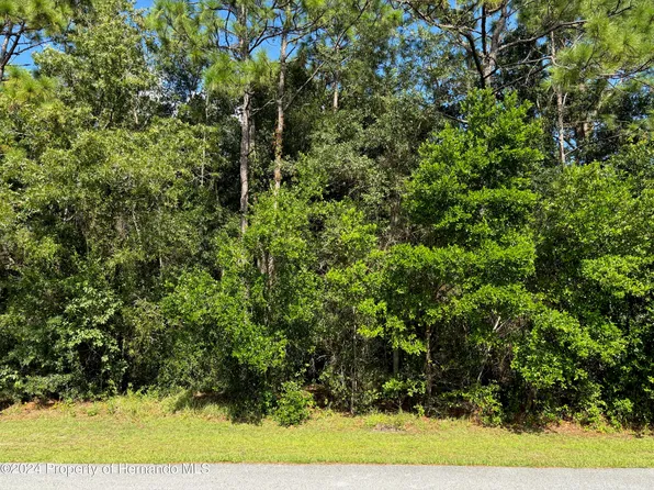 LOT 18 Simmons St, Brooksville, FL 34613