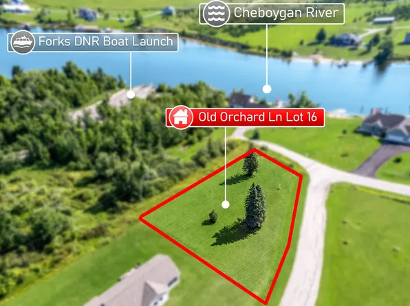 16-V/L Old Orchard Ln, Cheboygan, MI 49721