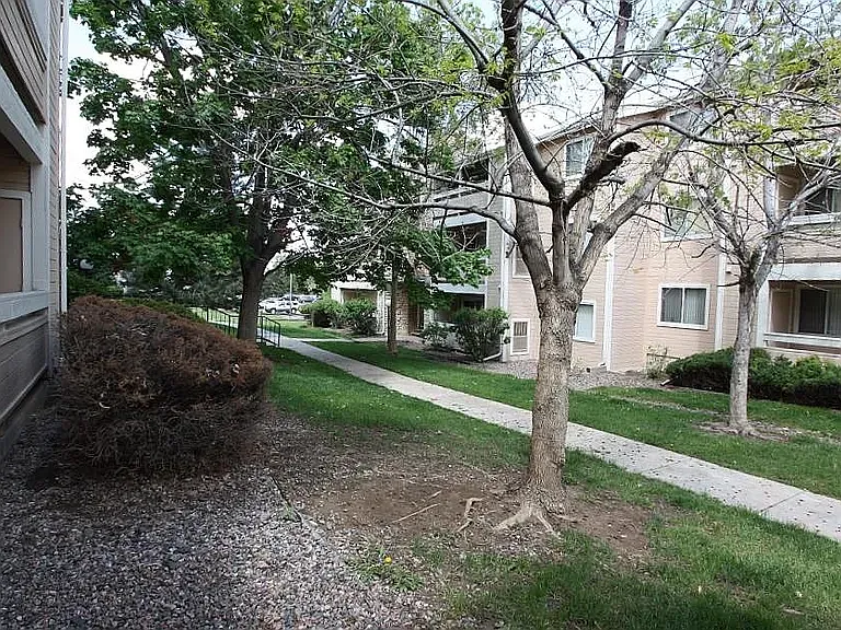 2 bed, 932 sqft, $1,500 — Photo 4