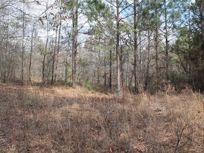 0 Lee Road 651, Camp Hill, AL, 36850