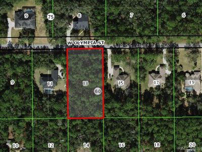 1304 W Olympia St, Hernando, FL, 34442