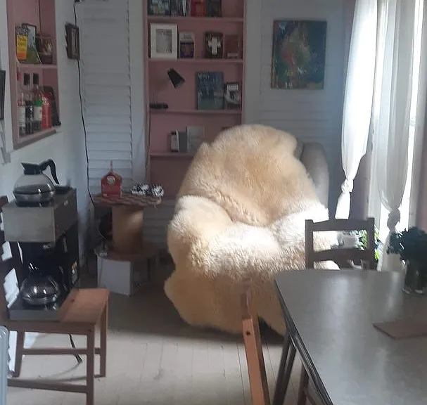 509 S Race St — Photo 11