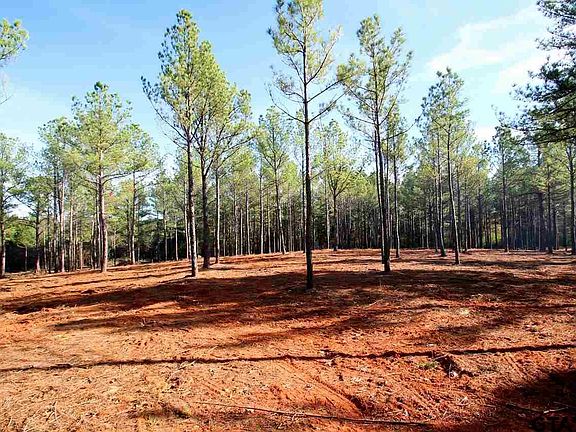 3rd image of 15079 Texas State Hwy #11E