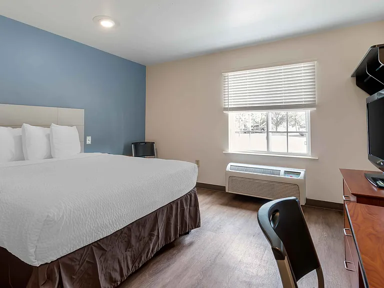 Studio Suite - 1 Queen Bed