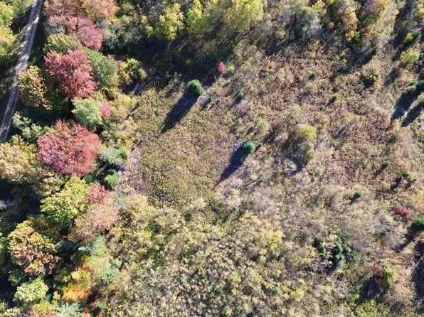 Tbd Ford Lake Rd, Germfask, MI 49836