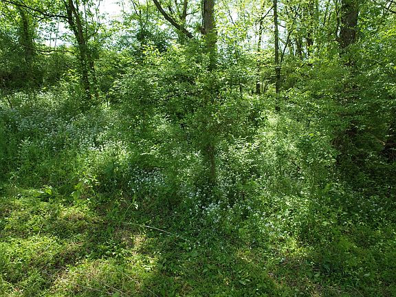 5th image of 0 Long Hollow Pike Lot 2