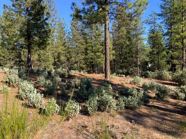 530 Lost Hill Ct, Nevada City, CA 95959