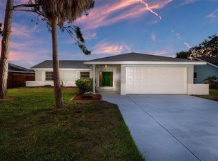 6515 Solitaire Palm Way, Apollo Beach, FL 33572