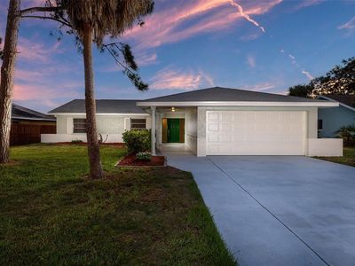 6515 Solitaire Palm Way, Apollo Beach, FL, 33572
