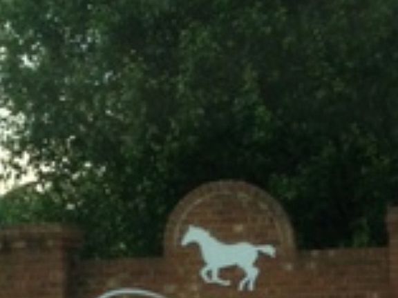 Neighborhood Entrance 