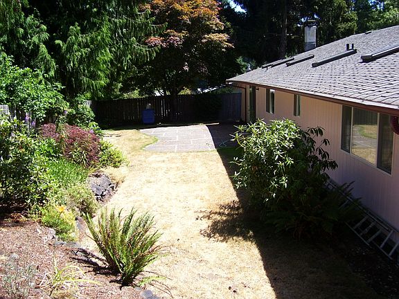 Back yard view