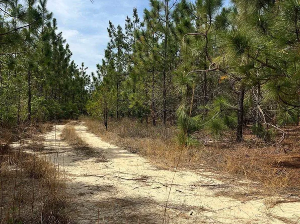 Bdf 9 Beaverdam Rd #Bdf-9, Cassatt, SC 29032