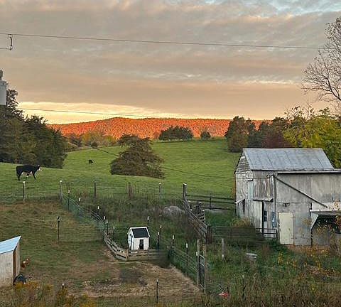 2nd image of 397 Country Brook Rd