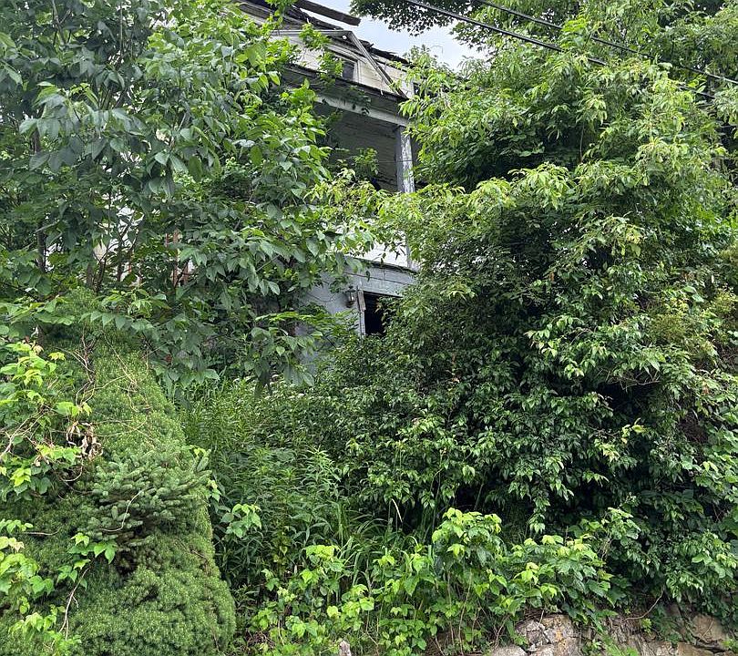 1st image of 13 Dudley St