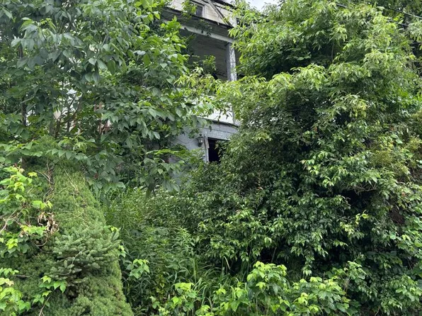 13 Dudley St, Lonaconing, MD 21539