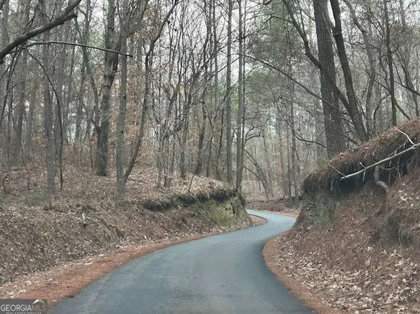 1089 Damascus Rd, Ball Ground, GA 30107