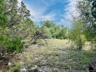 216 Colima Place, Mosca, CO, 81146
