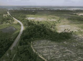 0 River Rd, Donalsonville, GA 39845