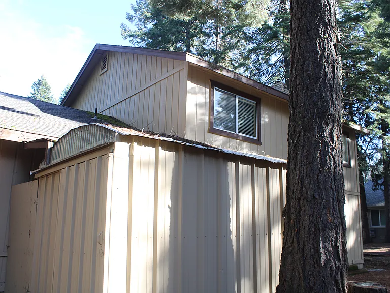 backyard shed
