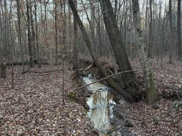 April Ln, Greensboro, AL 36744