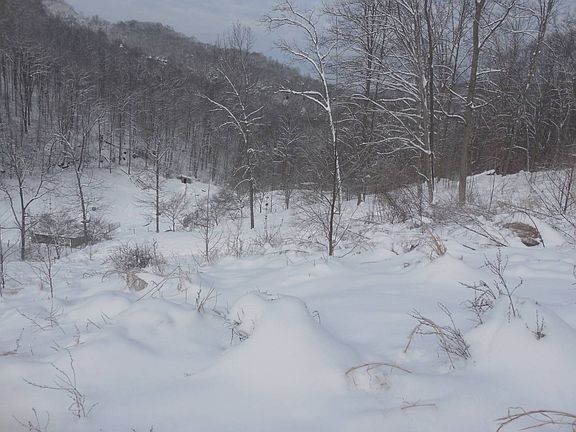 95th image of this home