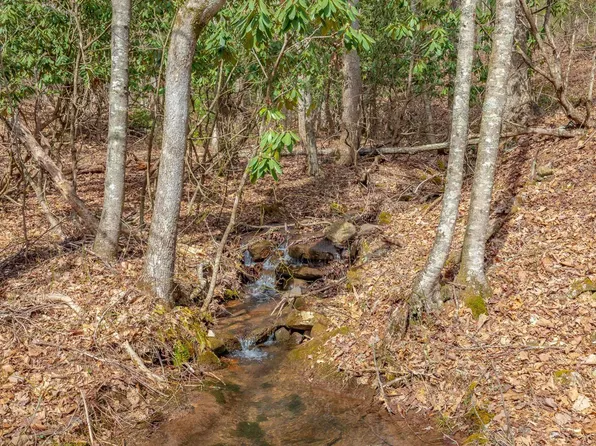 Tbdlot8 N Sunset Ln, Bland, VA 24315