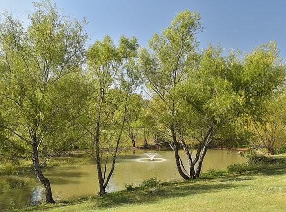 5th image of 2051 Willow Bend Dr