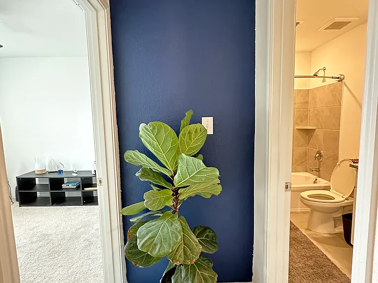 1638 Rosy Finch Dr — Photo 6