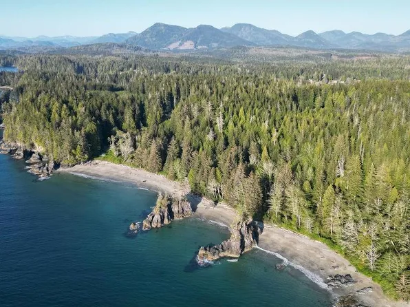 LOT 9 Wild Duck Rd, Alberni Clayoquot, BC V0R 1B0