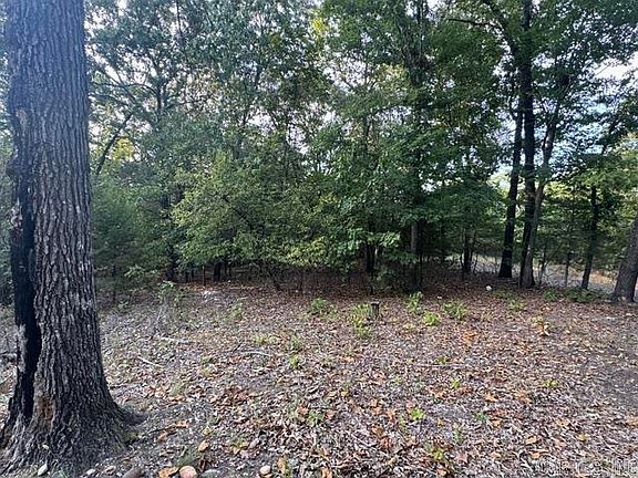 2nd image of 319 Bruce Mitchell Rd