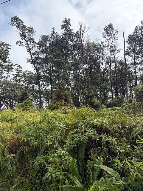 1st image of Seaview Rd Lot 27