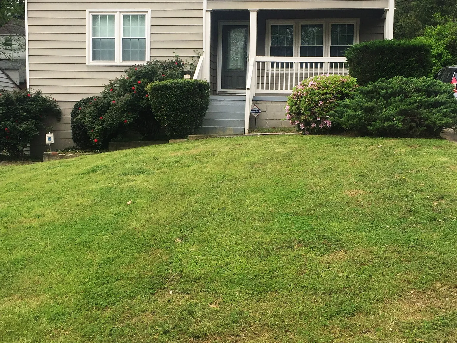 3 bed, 1000 sqft, $3,250 — Photo 2
