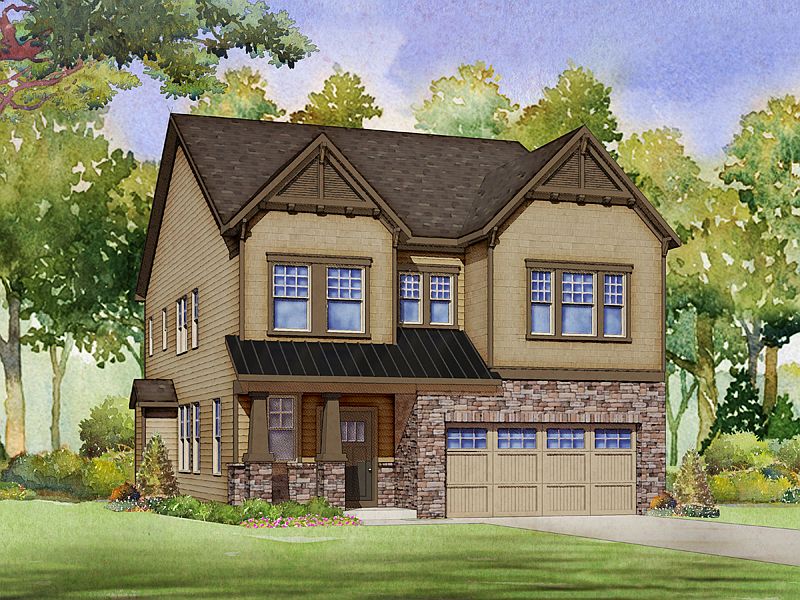 Cedar C